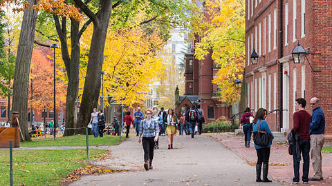 students in Harvard Yard in the fall